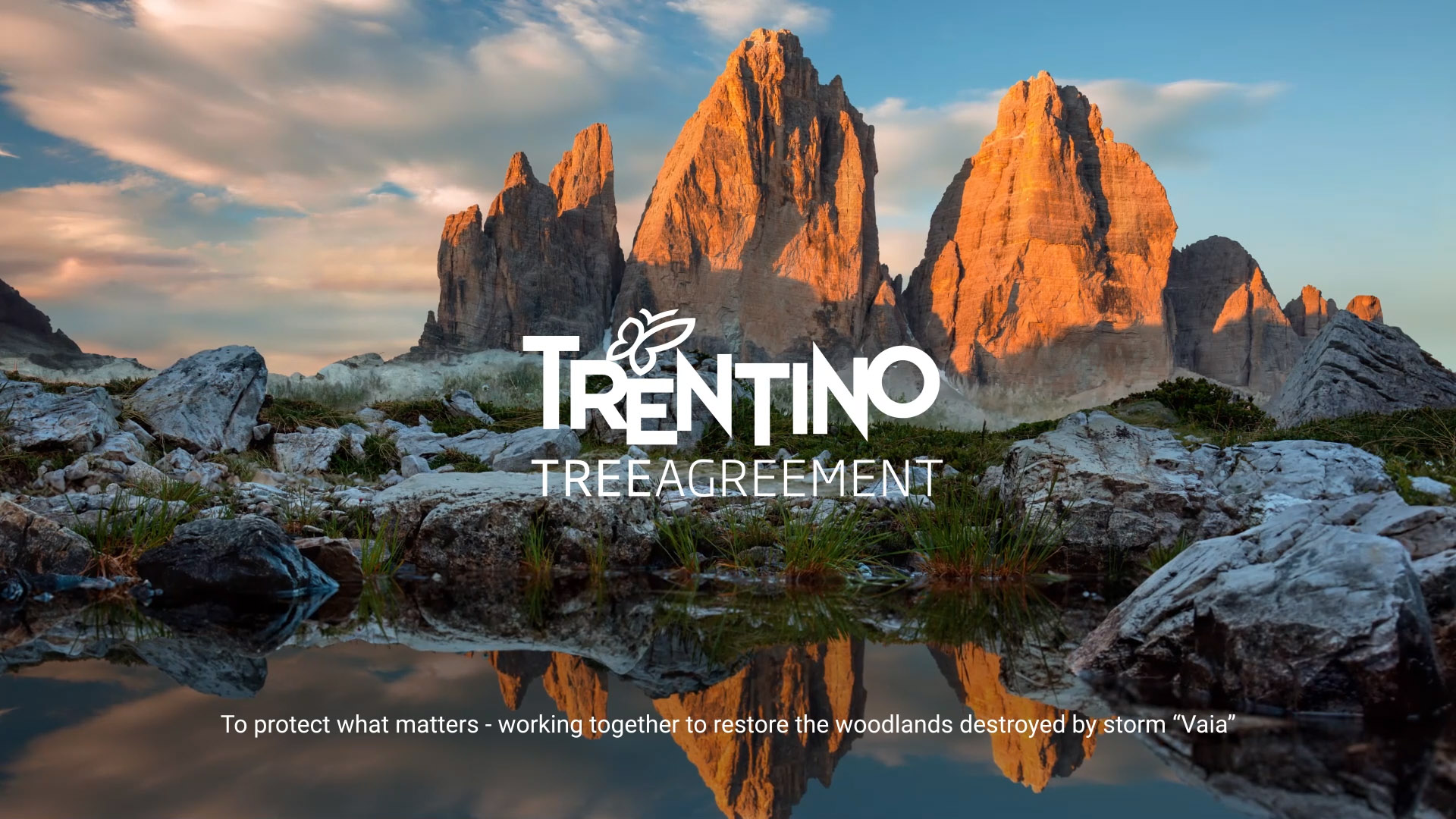 Trentino tree agreement — to protect what matters, still frame from animation